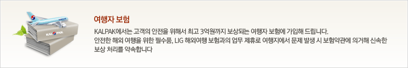 여행자 보험