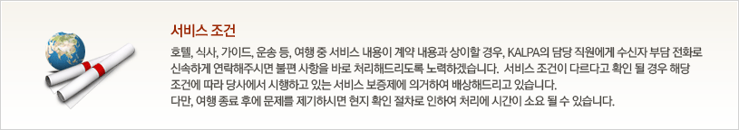 서비스 조건